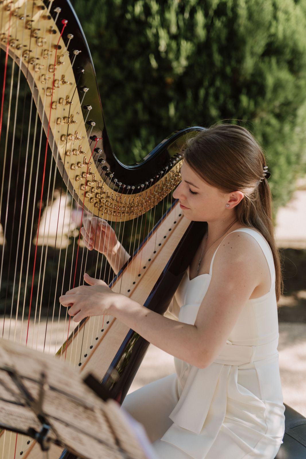 The Harp: history, prestige and present